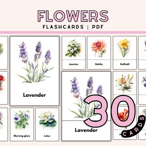 Karta informacyjna o kwiatach dla dzieci Aktywność edukacyjna Typy aktywności identyfikacyjnej kwiatów Montessori Flower 3-częściowe karty Materiały edukacyjne z botaniki
