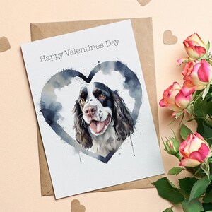 Springer Spaniel Valentinstag Karte | Springer Spaniel Valentinstag | Spaniel Geschenk | Spaniel-Valentinstag-Karte