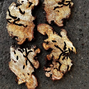 Könnte beinhalten: Vier Holzstücke in natürlicher, hellbrauner Farbe mit einem einzigartigen, filigranen Muster aus Löchern und Linien. Die Holzstücke sind kreisförmig auf einer dunkelgrauen Oberfläche angeordnet.