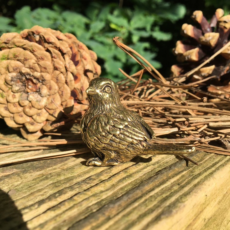 Pu&ograve; includere: Una piccola statuetta di uccello in metallo dorato con piume dettagliate. L'uccello &egrave; posato su una superficie di legno con un pigna sullo sfondo.