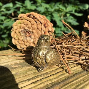 Pu&ograve; includere: Una statuetta di uccello in metallo dorato con piume dettagliate. L'uccello &egrave; posato su una superficie di legno con aghi di pino e una pigna sullo sfondo.