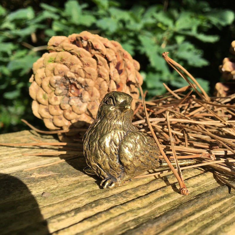 Pu&ograve; includere: Una statuetta di uccello in metallo dorato con piume dettagliate. L'uccello &egrave; posato su una superficie di legno con aghi di pino e una pigna sullo sfondo.