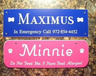 Custom Laser Engraved Pet Crate Tag: 2"x 6", 14 Colors