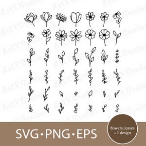 Flower SVG Bundle | Hand Drawn Flowers & Leaves | Botanical Line Art SVG | Cricut Silhouette