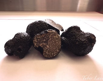 Dry Truffle,Tuber Brumale Vitt: (Moscato)