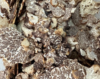 Tartufo Secco,Tuber Borchii Vitt: (Bianchetto)