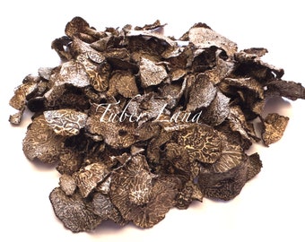 Dry Truffle,Tuber Brumale Vitt: (Moscato)