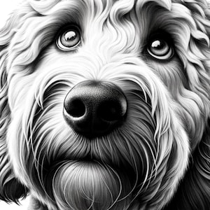 Golden Doodle Laser geschnitten Dateien, Labradoodle svg, Hunderassen png, Doodle Mama Geschenk Tshirt Design Labradoodle Clipart Geschenke, Labradoodle Mama