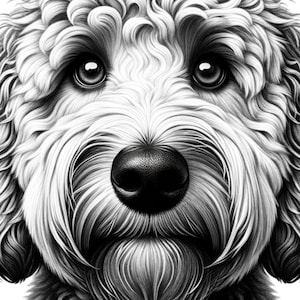 Regali con scarabocchi dorati, stampa murale personalizzata con cane, razze di cani in formato svg, design di maglietta per cani, download digitale di felpa con scarabocchio, ritratto di animale domestico in formato png
