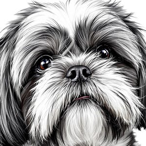 Shih tzu dog art bundle gifts, 5 svg png instant digital download, pet breeds, tattoo tshirt porcelan design cricut project clipart design