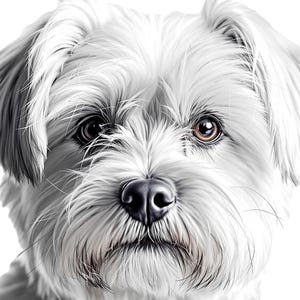 Maltese dog svg portrait bundle: Laser cut design on metal wood porcelan glass project, printable wall art (Digital Download)