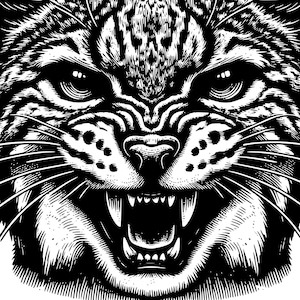 Diseño de arte svg de envolturas para vasos de mascota Bobcat, orgullo de Wildcat, regalo de Kentucky Wildcat, pegatinas de fútbol, baloncesto y voleibol png, orgullo de Lynx