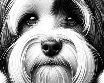 Havanese dog clipart portrait bundle, laser cut svg file diy project design, digital download