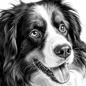 Berner Sennenhund 6 Clipart Geburtstagskarte, Tannenbaum Shirt, Berner Sennenhund Karte, digitaler Download, Berner Sennenhund