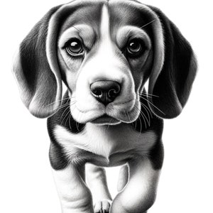 Beagle hond vector, clipart sweatshirt ontwerp cadeau bundel svg, Beagle print art stickers png, hondenrassen moederliefhebbers, huisdier svg-bestanden voor de cricut