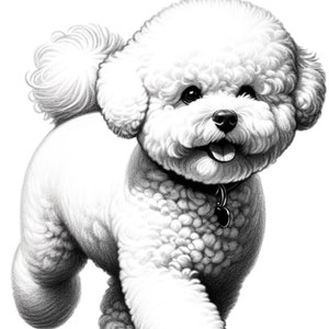 Bichon frise hond kunst aan de muur decor svg bundel, Bichon frise kussen, deurmat, mok svg, hondenrassen svg, hondenliefhebbers muur kunst png, Bichon frise moeder