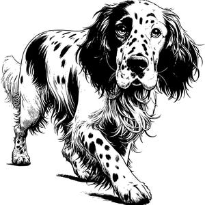 Bundel met clipart van een Engelse setter (PNG- en SVG-bestanden), printbaar lasergesneden ontwerp, digitale download.