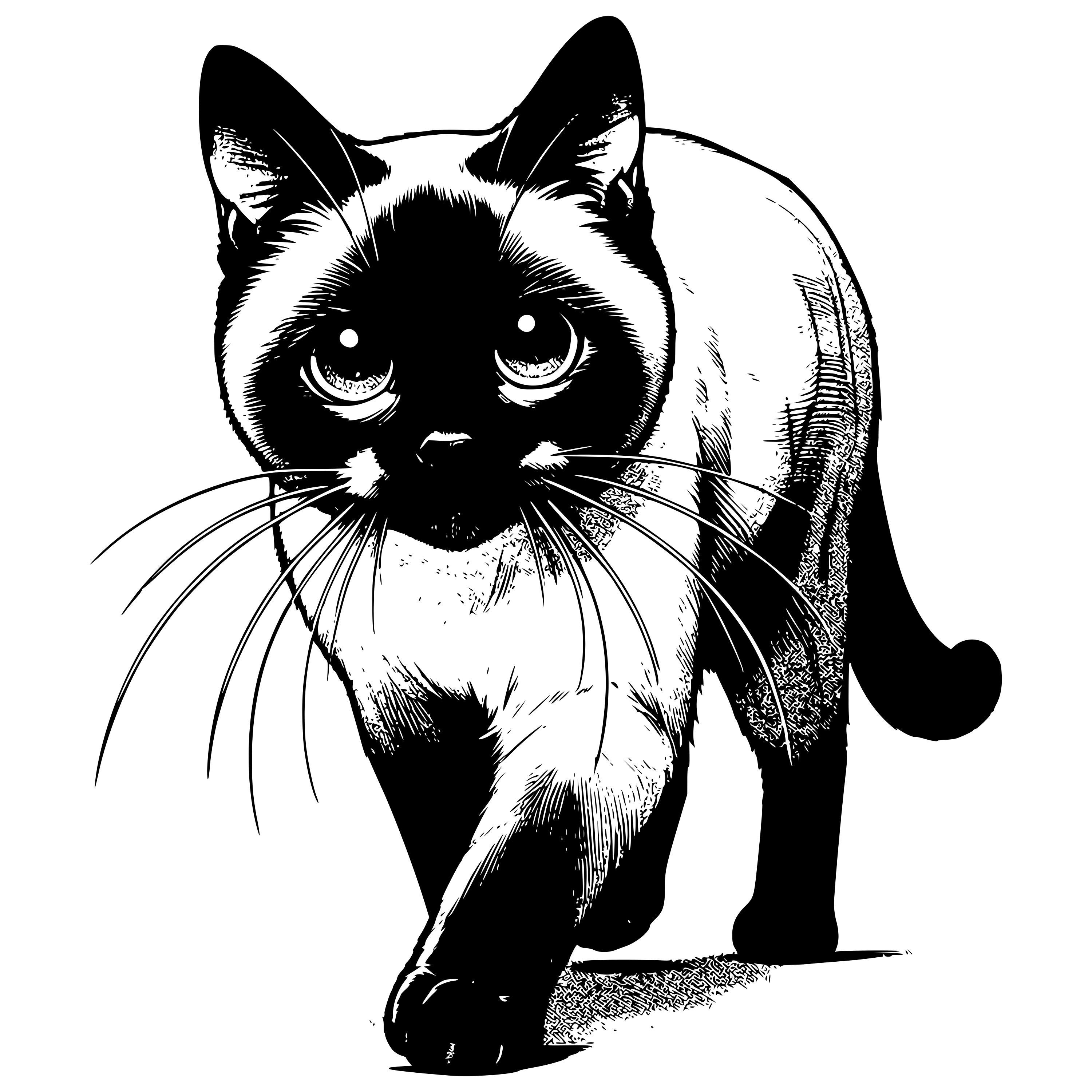Siamese Cat Clipart Black And White