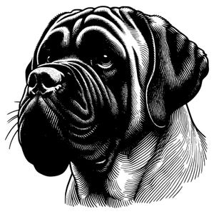 English mastiff dog art svg bundle, laser cut design digital download