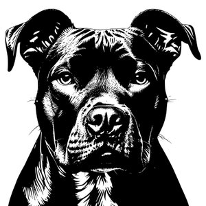 Pitbull Terrier SVG Bundle: Dog Clipart, PNG, PDF (Digital Download)