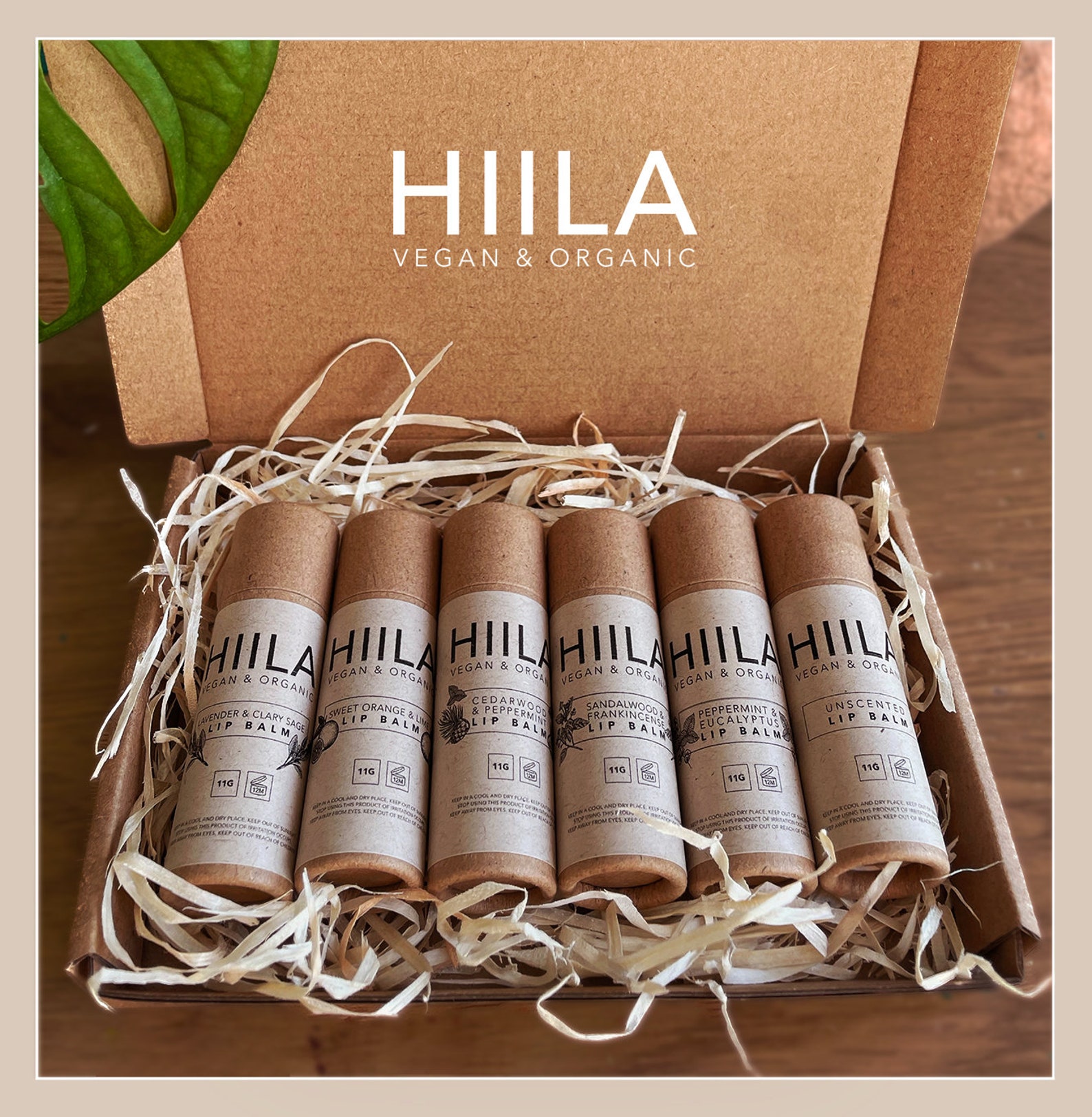 Organic Vegan Natural Lip Balm Gift Set