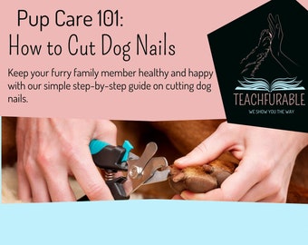 How to Trim your Dogs Nails