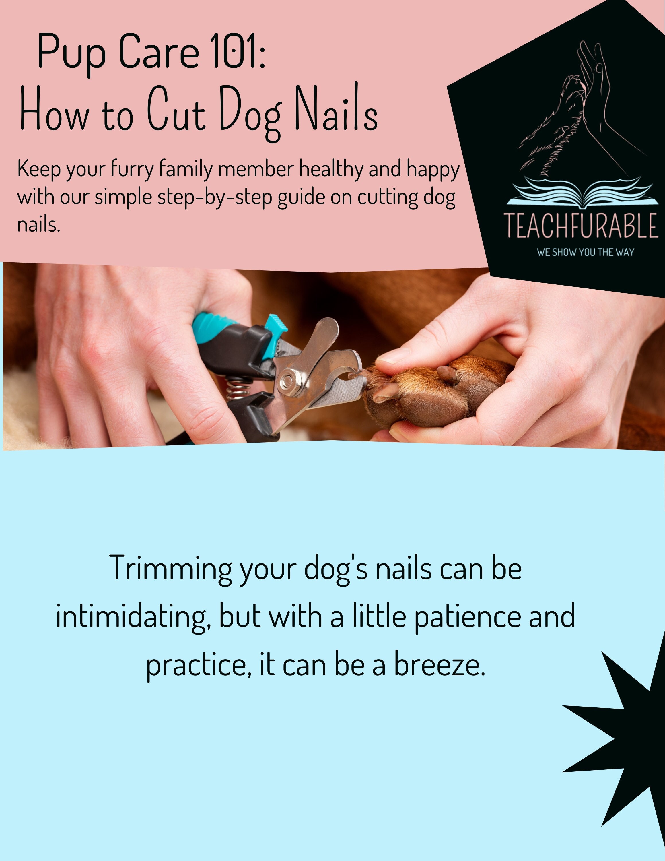 Clipping Your Dog's Nails - Timberidge Goldendoodles
