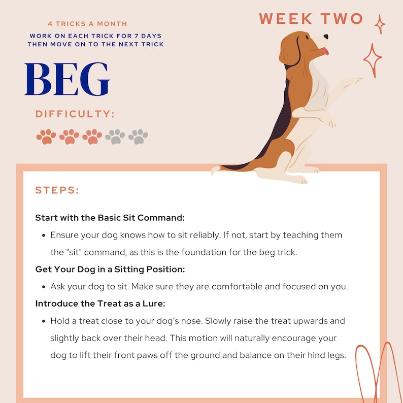 Guide Dog Beg Dog Trick Training Guide, Speak, Be Quiet, Play Dead, Beg - Etsy