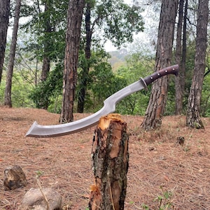 May include: A curved, silver-colored sword with a brown wooden handle is propped against a tree stump in a forest setting.