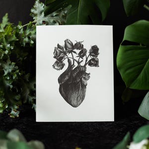 A black and white print of a hand-drawn anatomical heart blooming with wilted roses as though it were a vase. Surrounded by dark green leaves and shadows. Ideal for gothic or anatomy-themed decor.