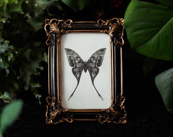 Moon Moth Illustration Gothic Print - Witchy Entomology Art - Dark Academia Home Decor for Alternative Interiors - Mothcore Gothic Gift Idea