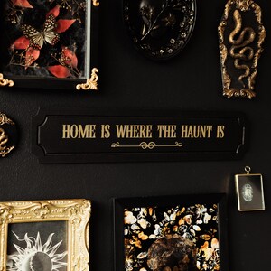 May include: A black sign with gold lettering that reads "Home is where the haunt is". The sign is surrounded by various decorative items, including a framed butterfly, a skull, and a snake.