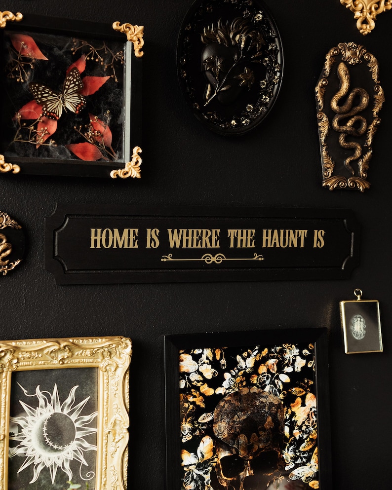 May include: A black sign with gold lettering that reads "Home is where the haunt is". The sign is surrounded by various decorative items, including a framed butterfly, a skull, and a snake.
