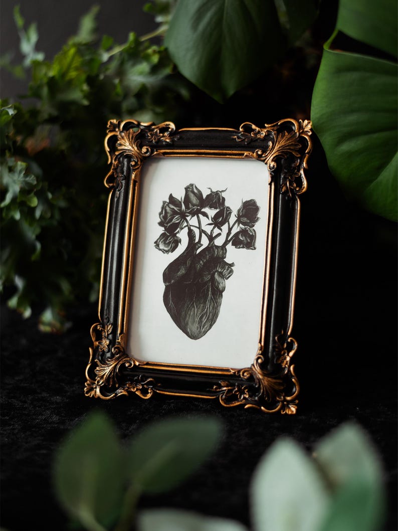 A black and white print of a hand-drawn anatomical heart blooming with wilted roses as though it were a vase. Surrounded by dark green leaves and shadows. Ideal for gothic or anatomy-themed decor.