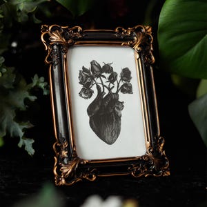 A black and white print of a hand-drawn anatomical heart blooming with wilted roses as though it were a vase. Surrounded by dark green leaves and shadows. Ideal for gothic or anatomy-themed decor.