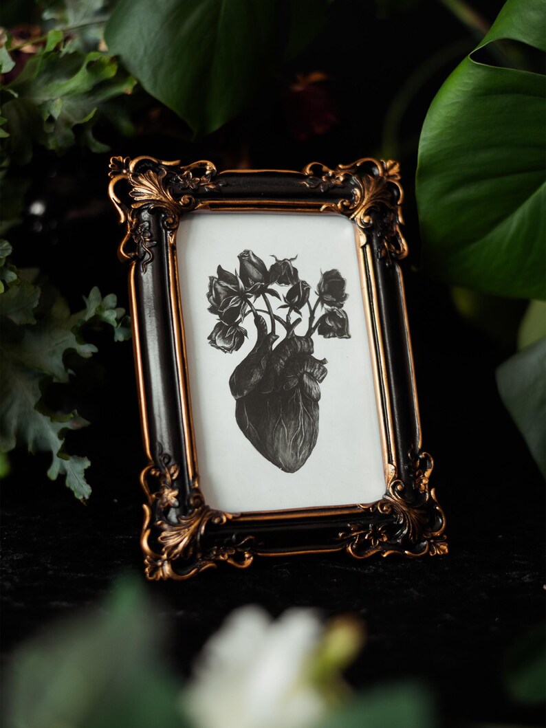 A black and white print of a hand-drawn anatomical heart blooming with wilted roses as though it were a vase. Surrounded by dark green leaves and shadows. Ideal for gothic or anatomy-themed decor.
