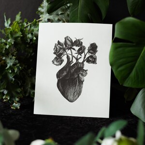 A black and white print of a hand-drawn anatomical heart blooming with wilted roses as though it were a vase. Surrounded by dark green leaves and shadows. Ideal for gothic or anatomy-themed decor.