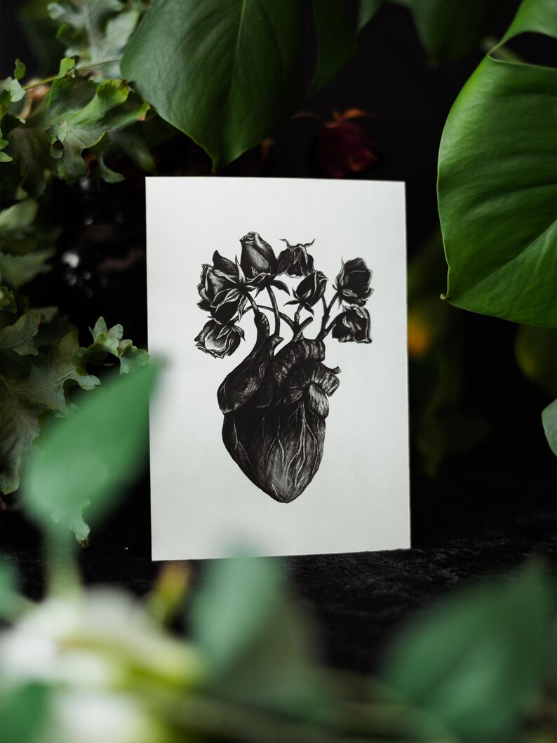 A black and white print of a hand-drawn anatomical heart blooming with wilted roses as though it were a vase. Surrounded by dark green leaves and shadows. Ideal for gothic or anatomy-themed decor.