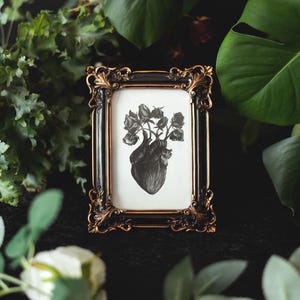 A black and white print of a hand-drawn anatomical heart blooming with wilted roses as though it were a vase. Surrounded by dark green leaves and shadows. Ideal for gothic or anatomy-themed decor.