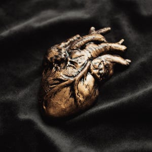 Anatomical Heart Wall Hanging - Alternative Home Decor - Gothic Wall Art - Witchy Romantic Gift - Dark Academia Oddity - Human Heart Decor