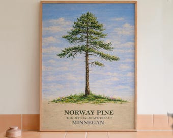 Arte mural con lámina botánica del pino noruego, árbol estatal de Minnesota.