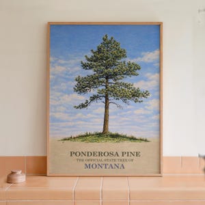 Montana State Tree Ponderosa Pine Botanical Print Wall Art