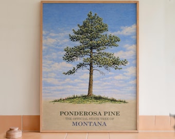 Arte mural con lámina botánica del pino ponderosa, árbol estatal de Montana.