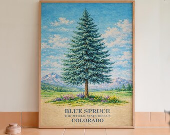 Cuadro decorativo con lámina botánica del abeto azul, árbol estatal de Colorado.