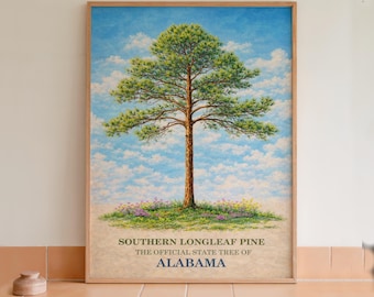 Lámina botánica del pino de hoja larga, árbol estatal de Alabama.