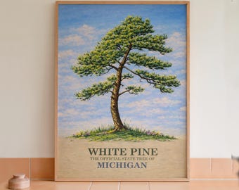 Arte mural con lámina botánica del pino blanco, árbol estatal de Michigan.