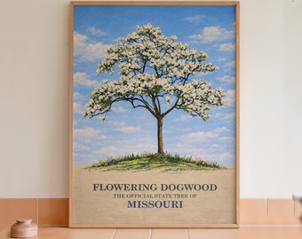 Cuadro decorativo con lámina botánica del cornejo, árbol estatal de Missouri.