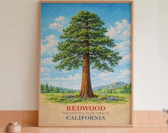 Lámina botánica de secuoya, árbol estatal de California.