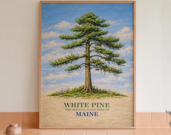 Cuadro decorativo con estampado botánico del pino blanco, árbol estatal de Maine.