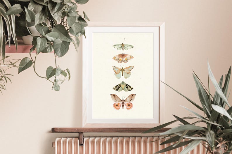 May include: A framed print of five butterflies in a vertical row. The butterflies are all different colors and patterns, with shades of green, pink, and white. The butterflies are arranged in a symmetrical pattern, with the largest butterfly at the bottom and the smallest butterfly at the top.
